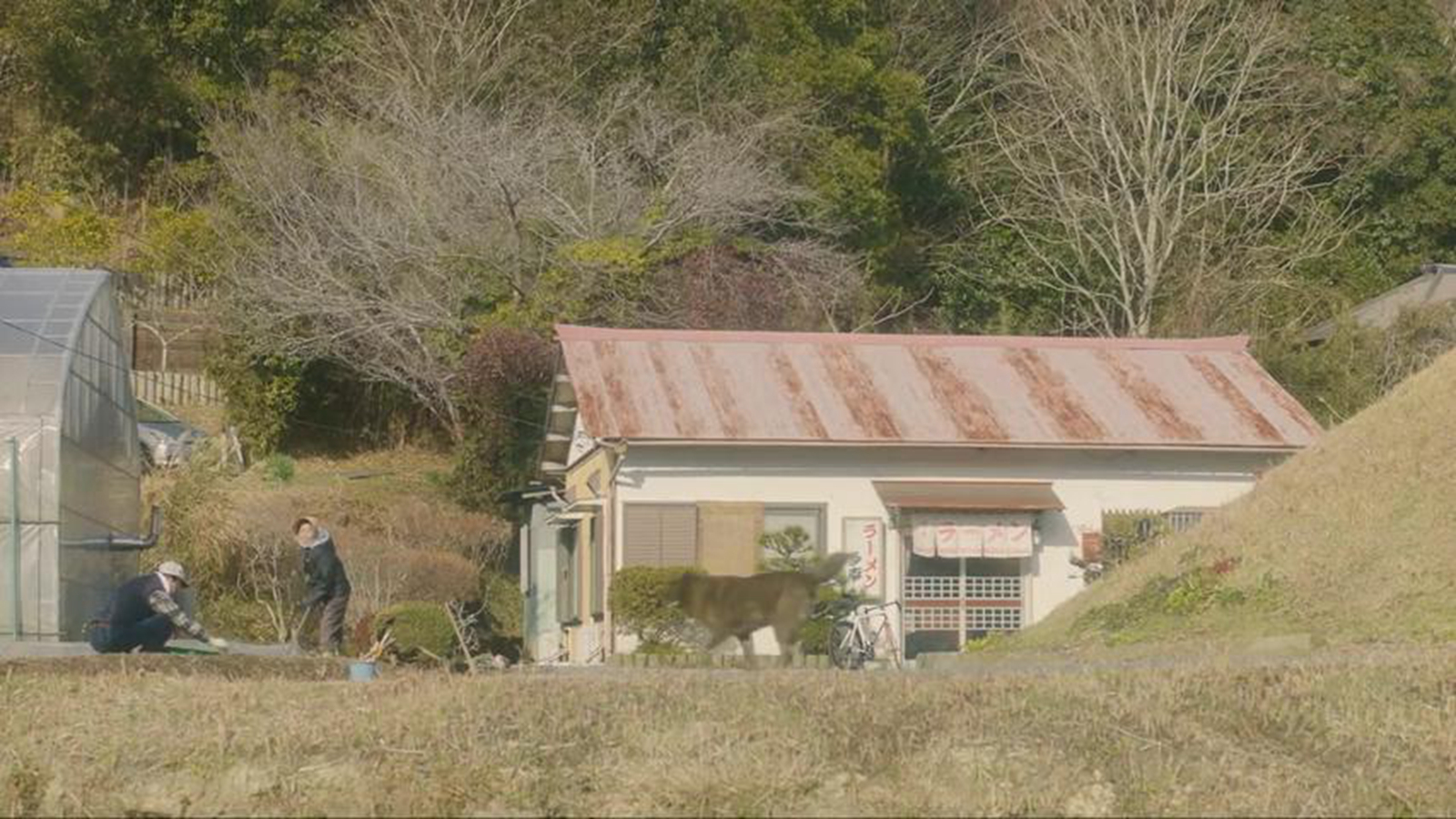 多幸拉面