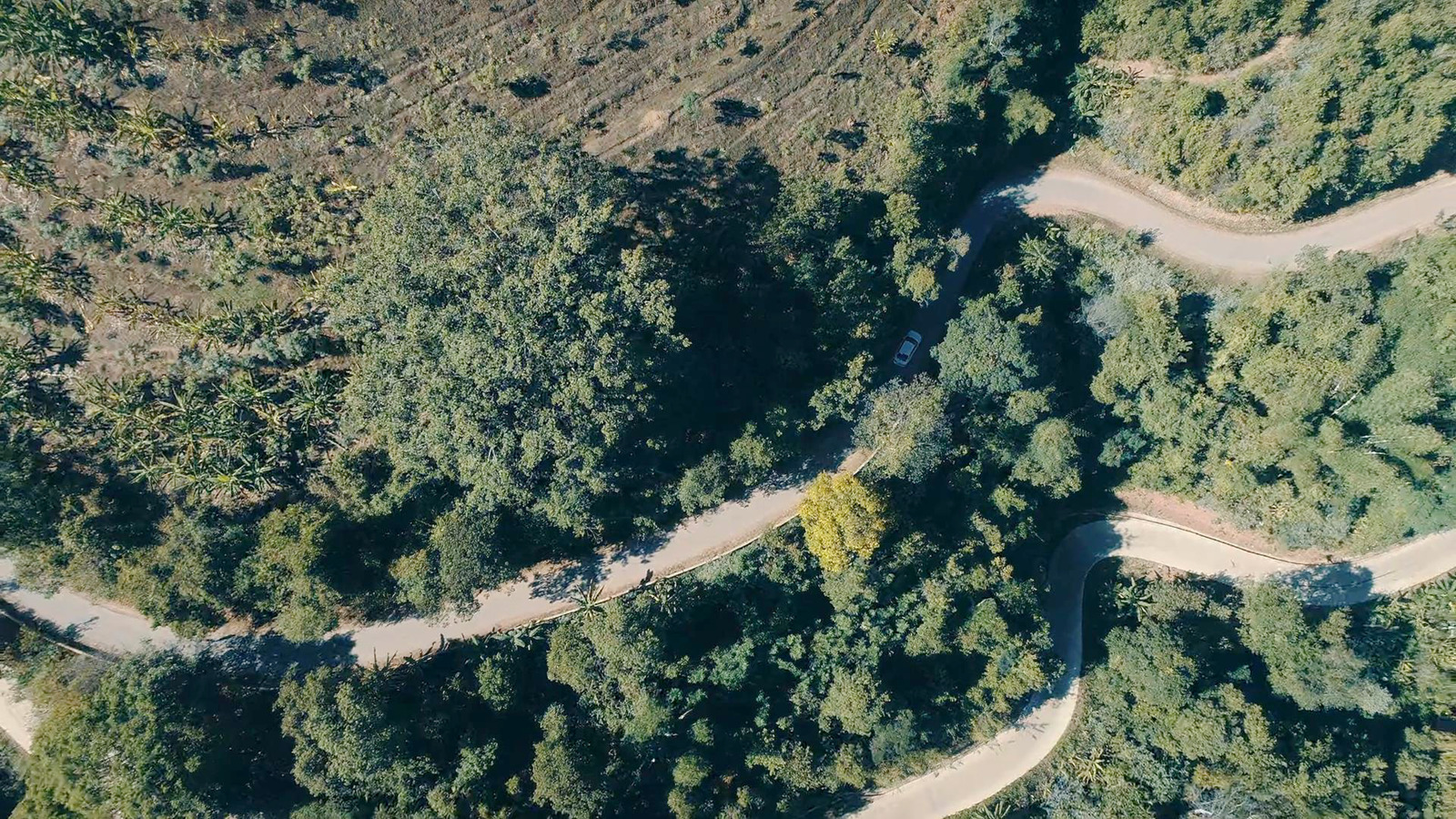 去往云溪寨的公路