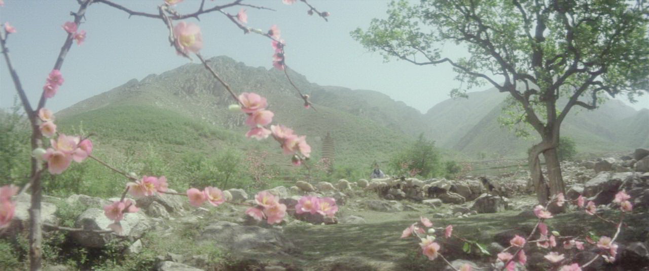 白无瑕牧羊