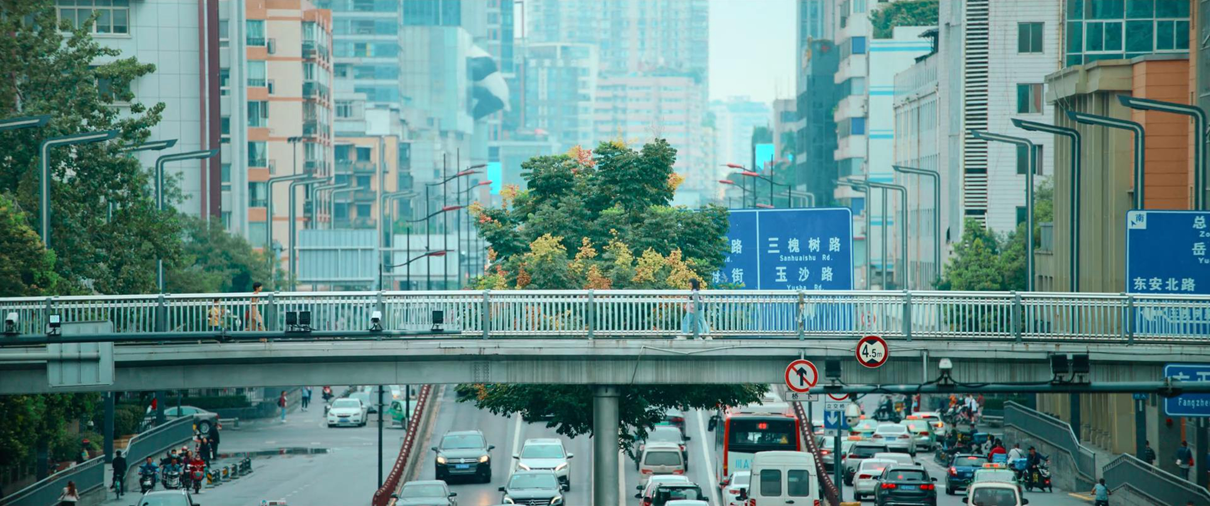 姐弟通过的天桥