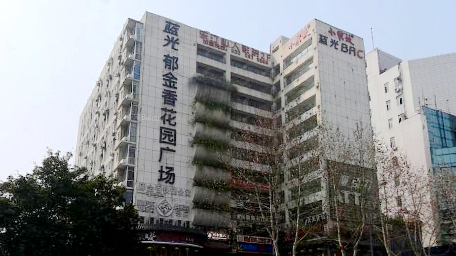 蓝光·郁金香花园广场
