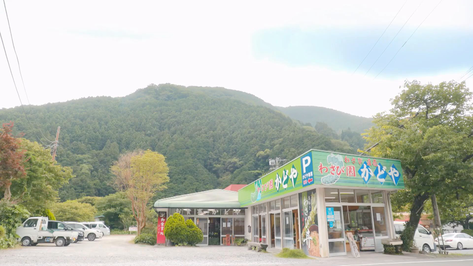 山葵餐厅