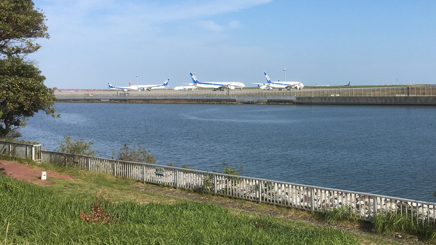 京滨岛之翼公园