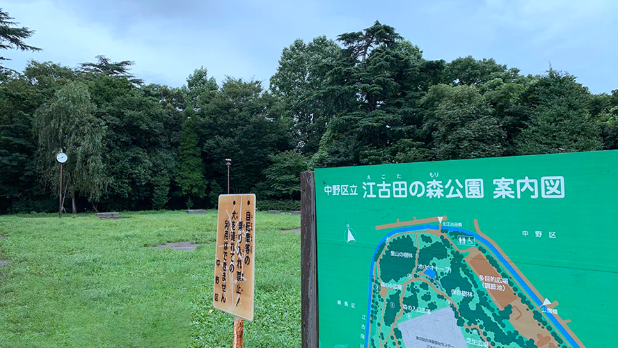 江古田森林公园