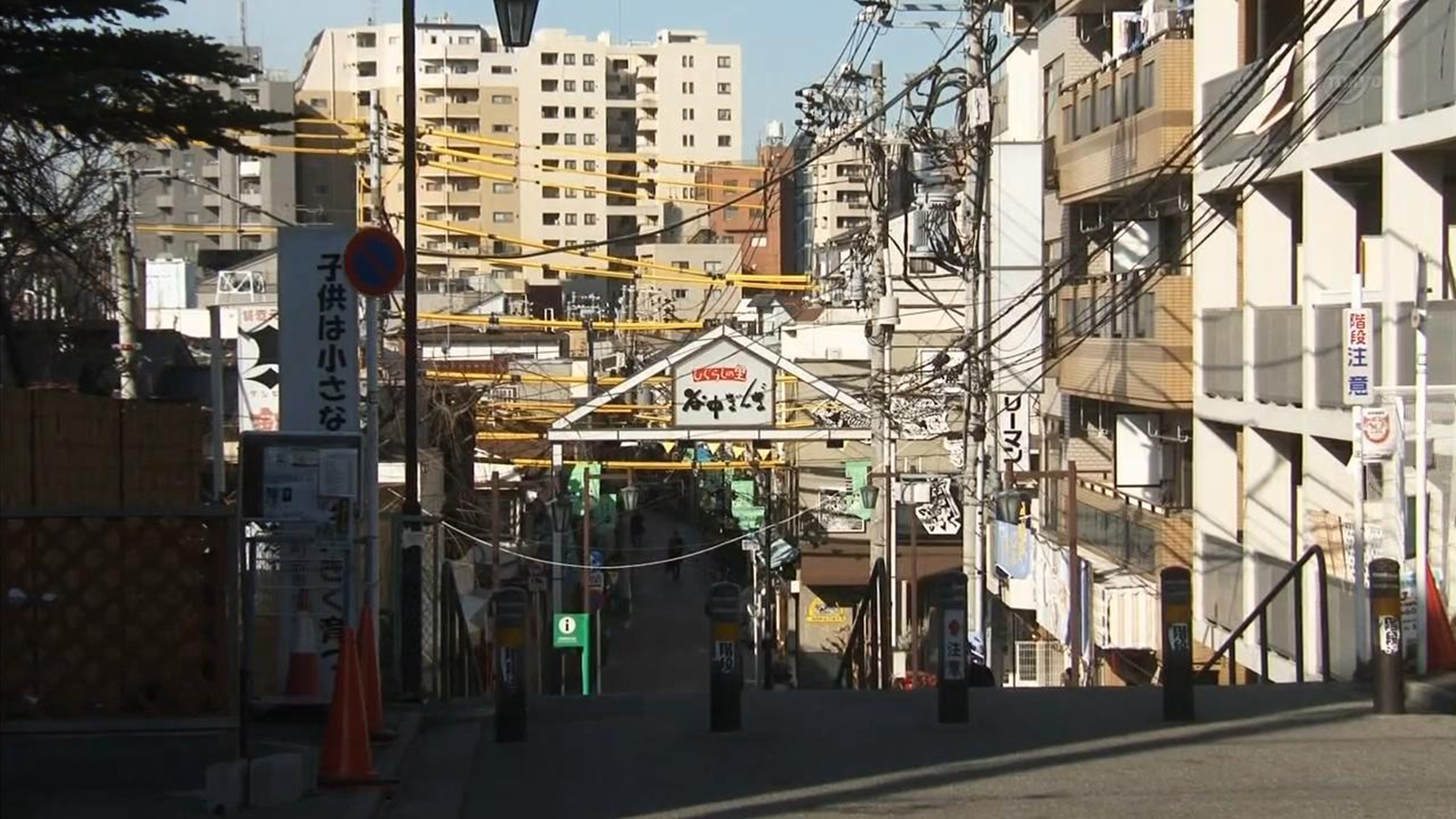 猫都喜欢的街道
