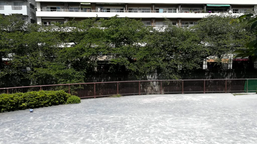 交汇游乐场