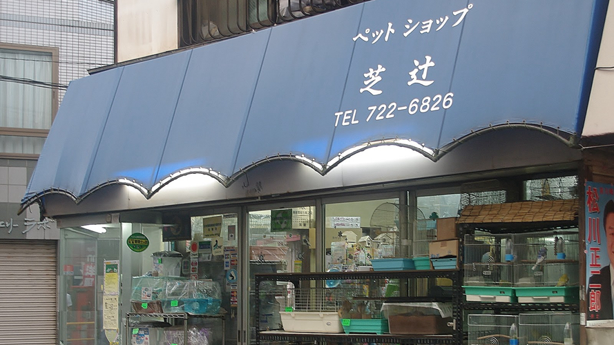 芝辻宠物店