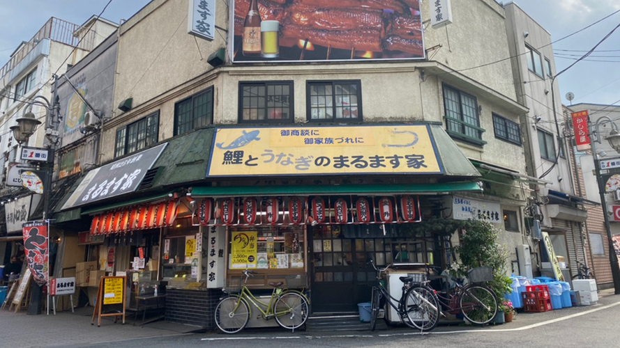 丸增家总店