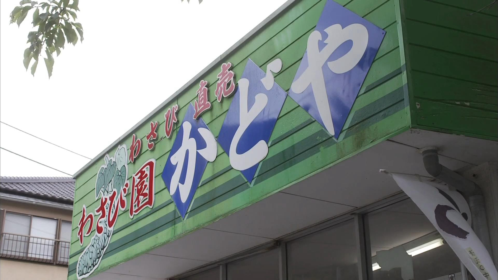 山葵盖饭