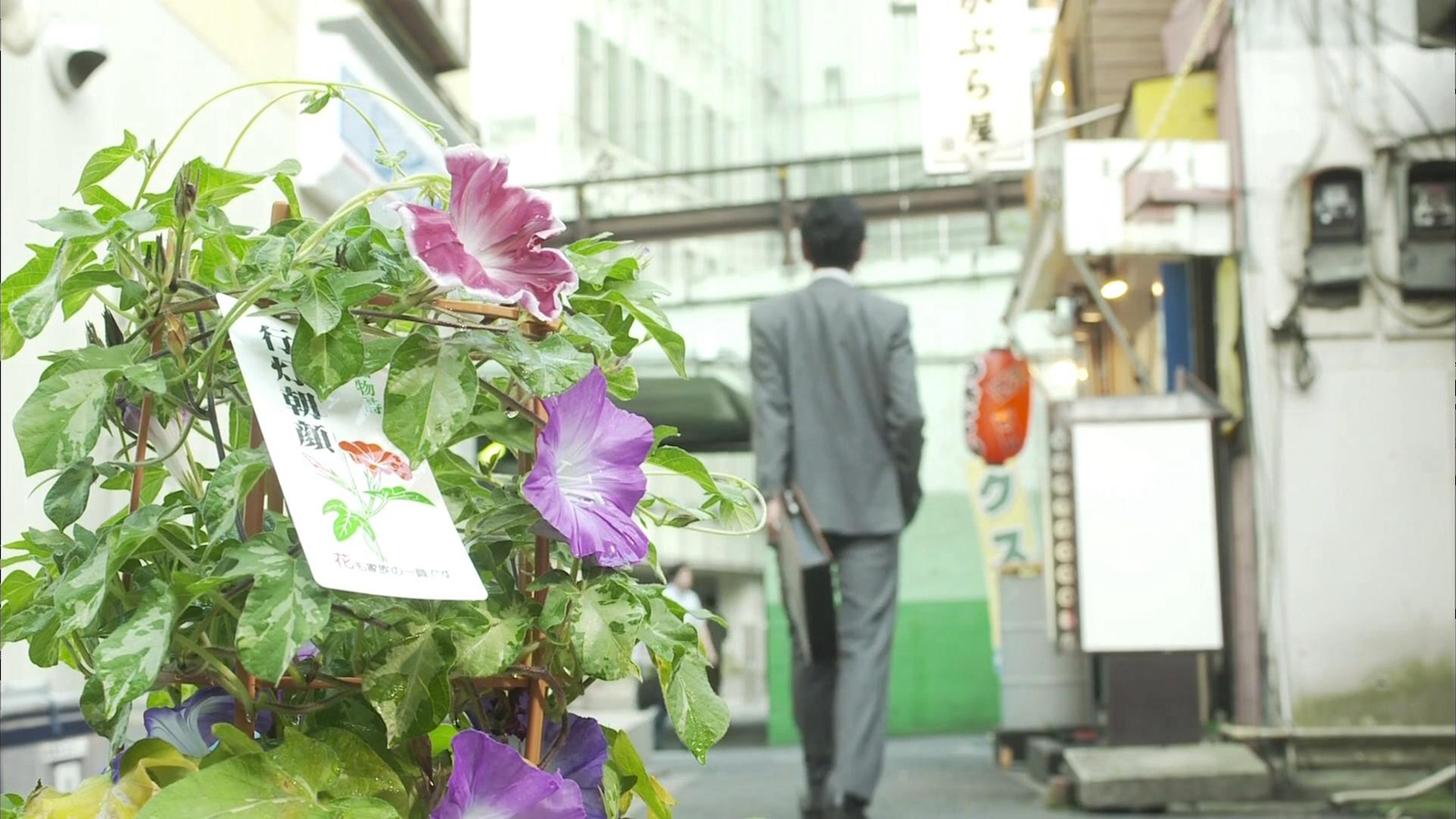 五郎浇花