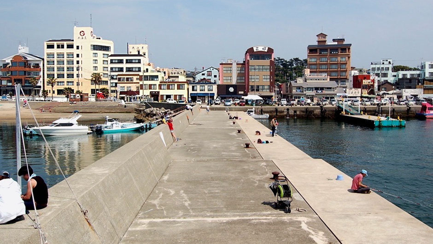 日间贺岛西港