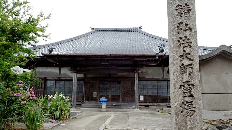 青花鱼大师