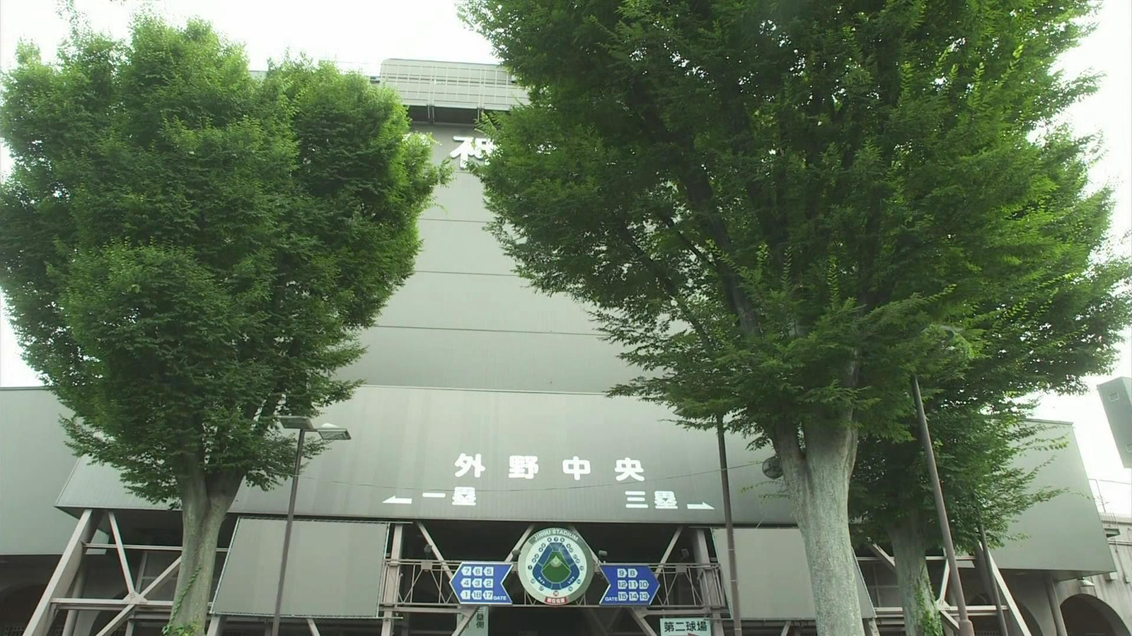 棒球场