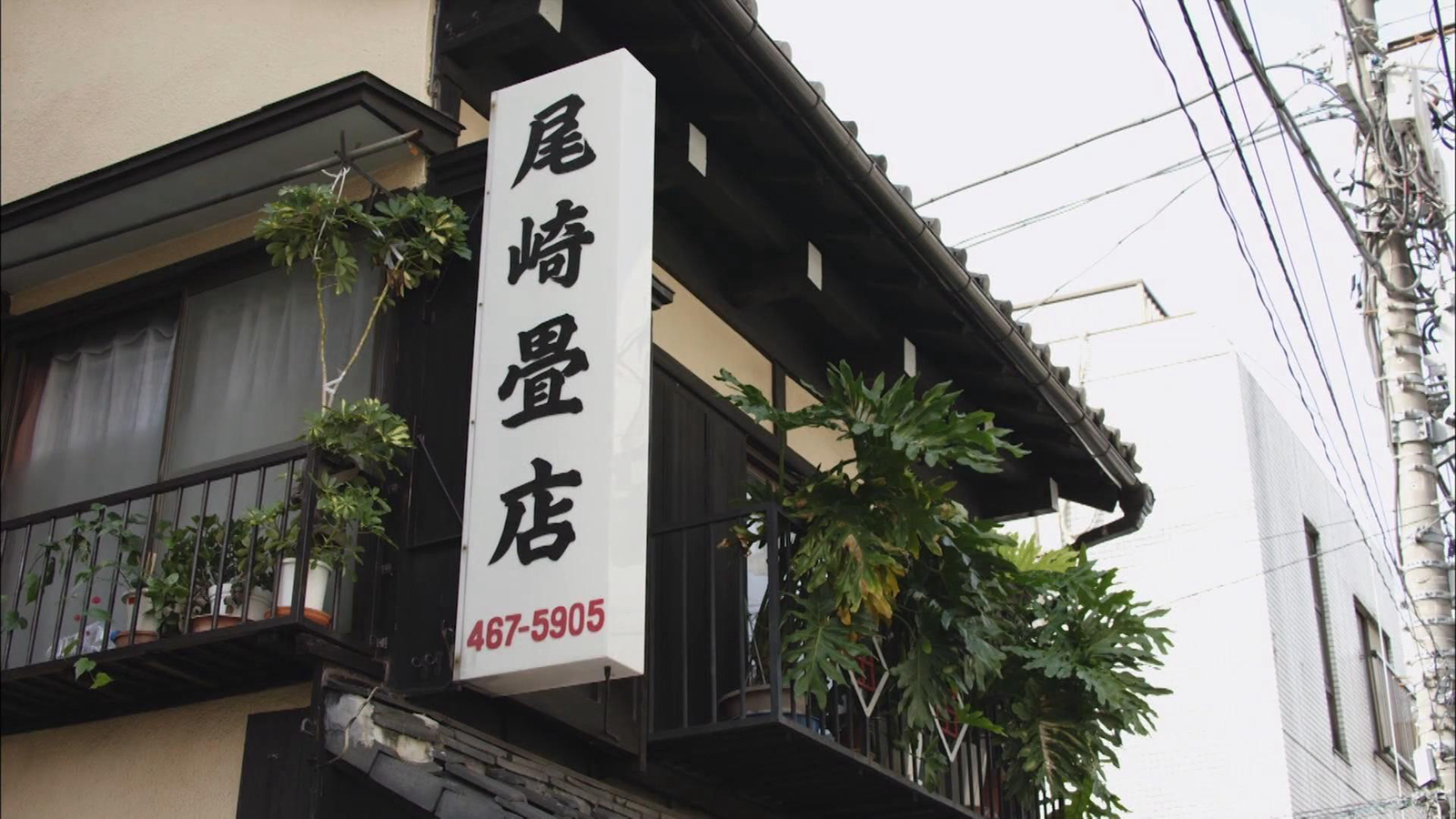 榻榻米店