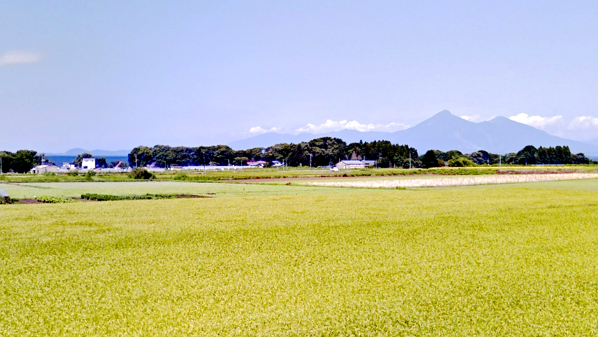 湖南町滨路上道农田
