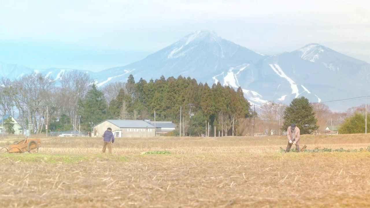 练与爷爷下田