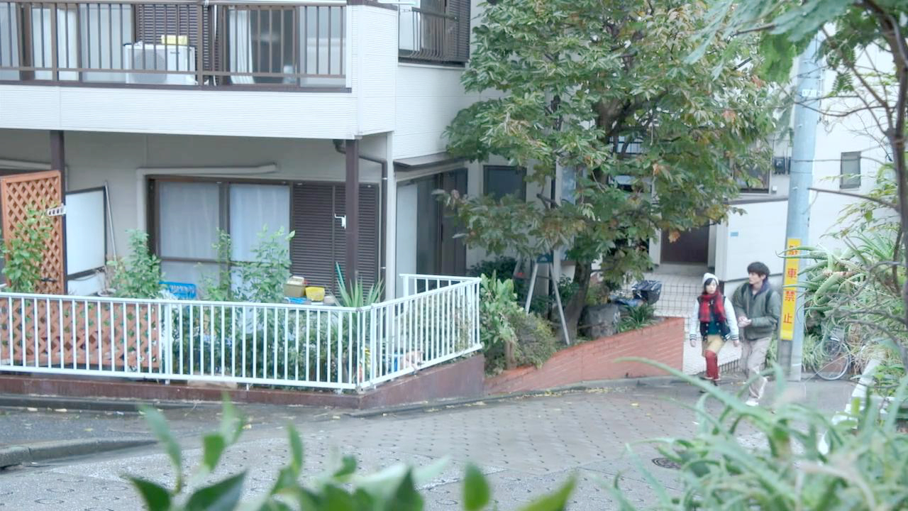 练喂养邻居家小狗