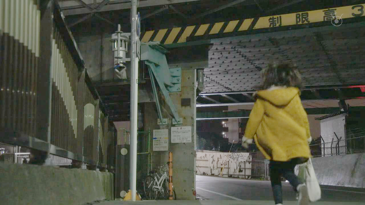 音捡到小狗