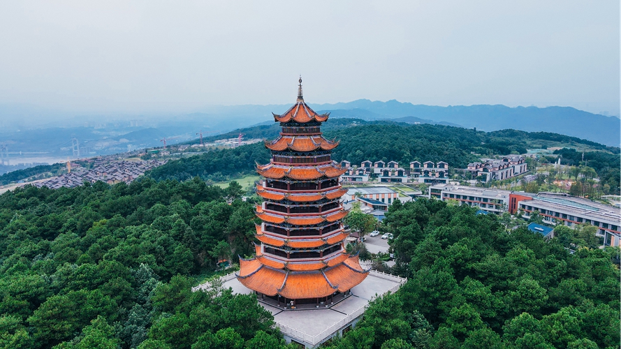 铁山坪森林公园
