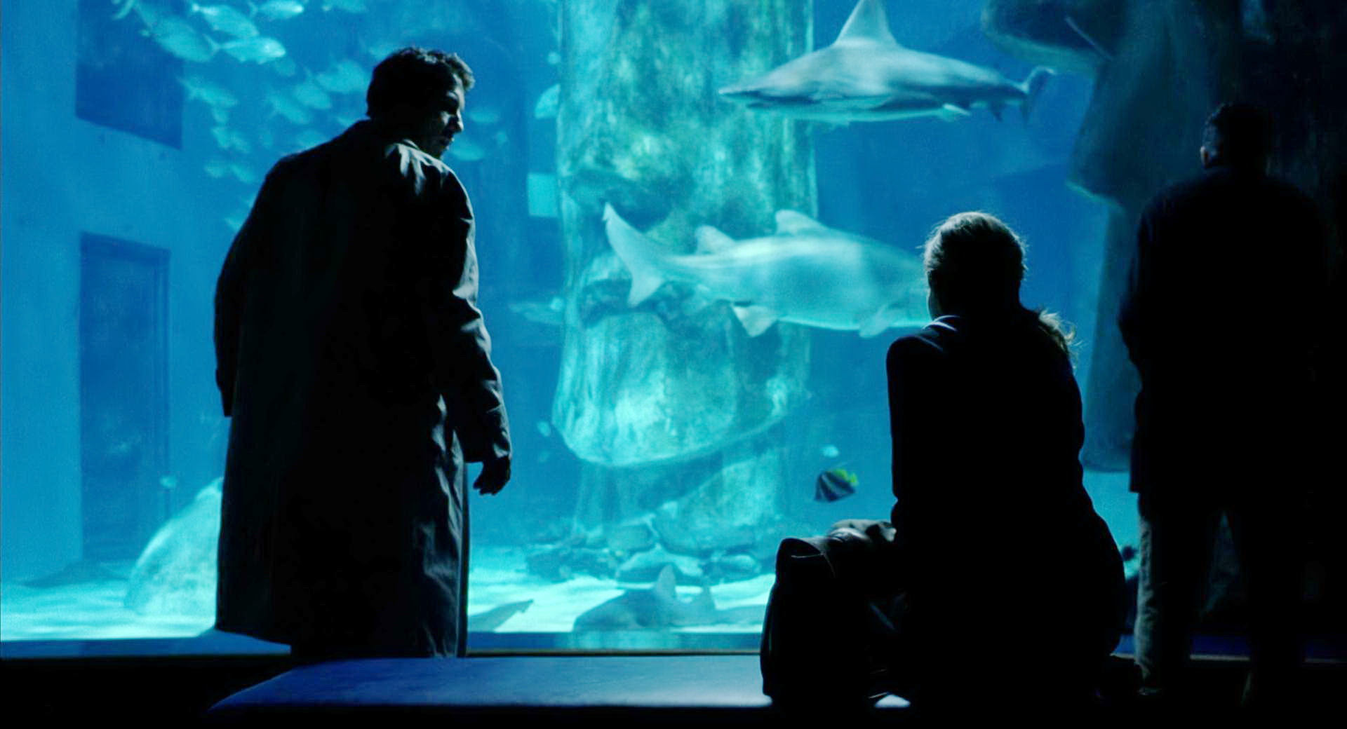 水族馆约炮