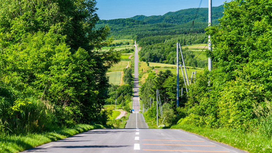 过山车路