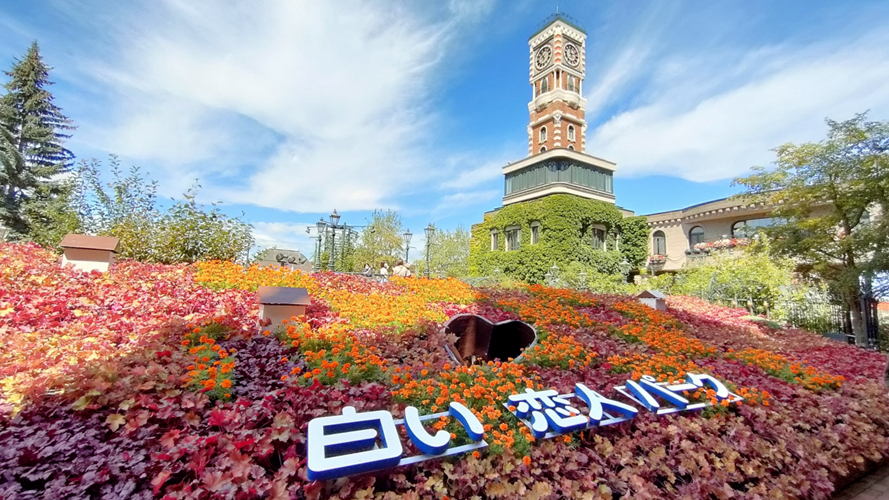白色恋人公园