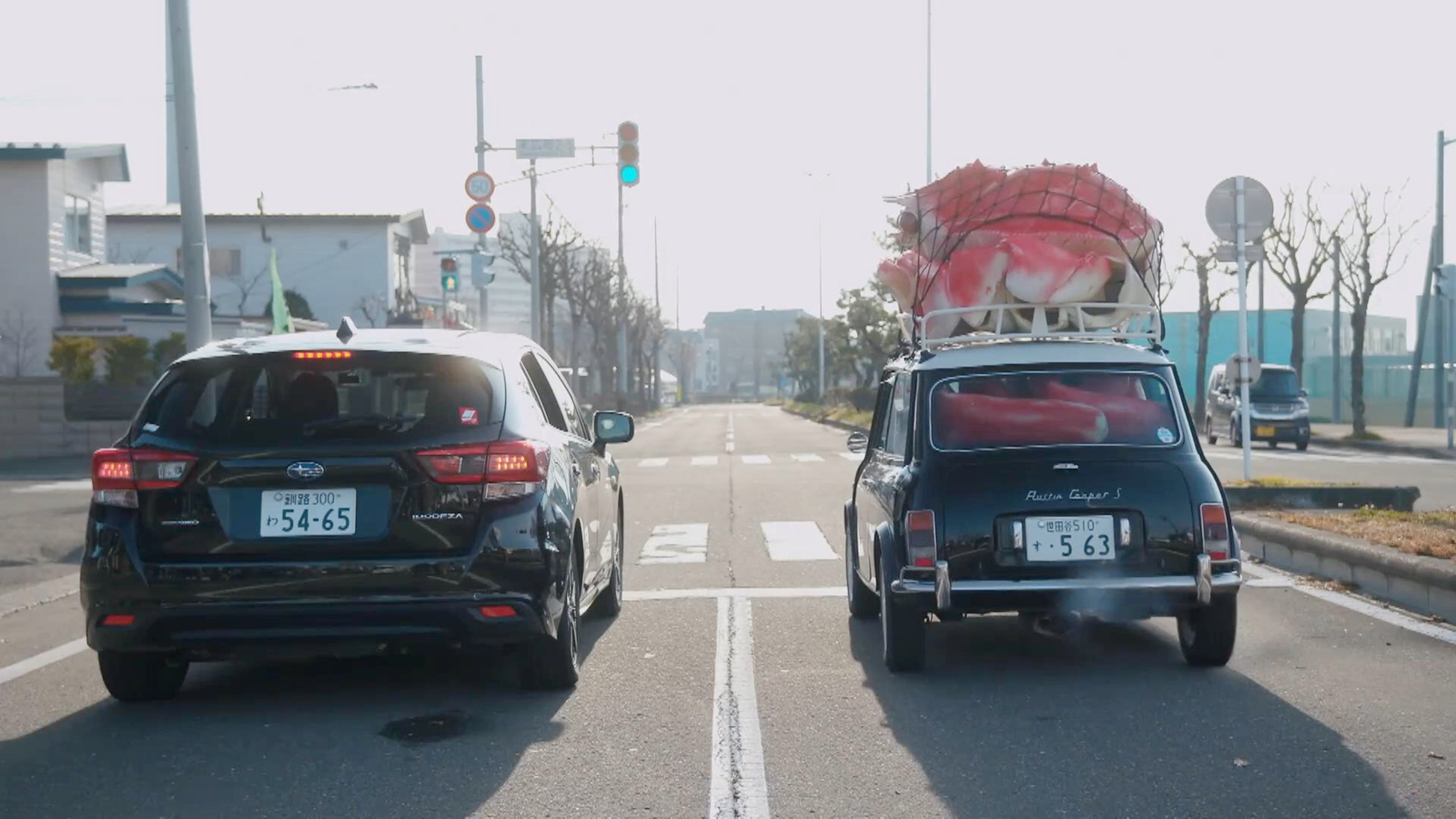 巨蟹受关注