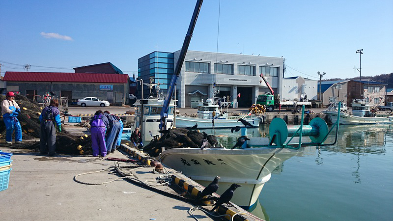 厚田渔港