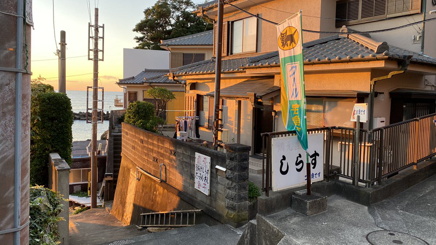 金子丸直销店