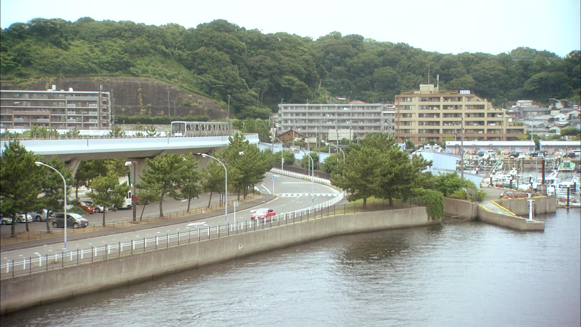 利佳子带纱和去动物园