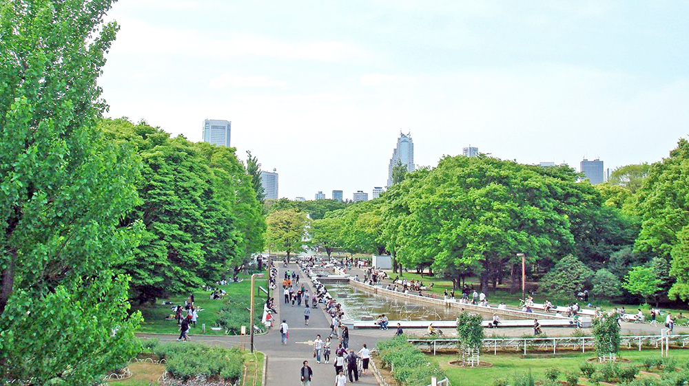 代代木公园