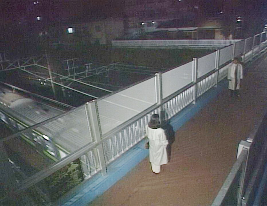 完治和莉香定情