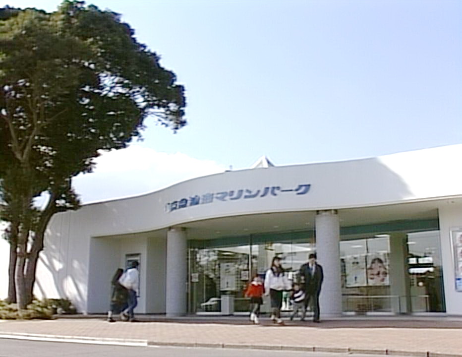四人同游海洋公园