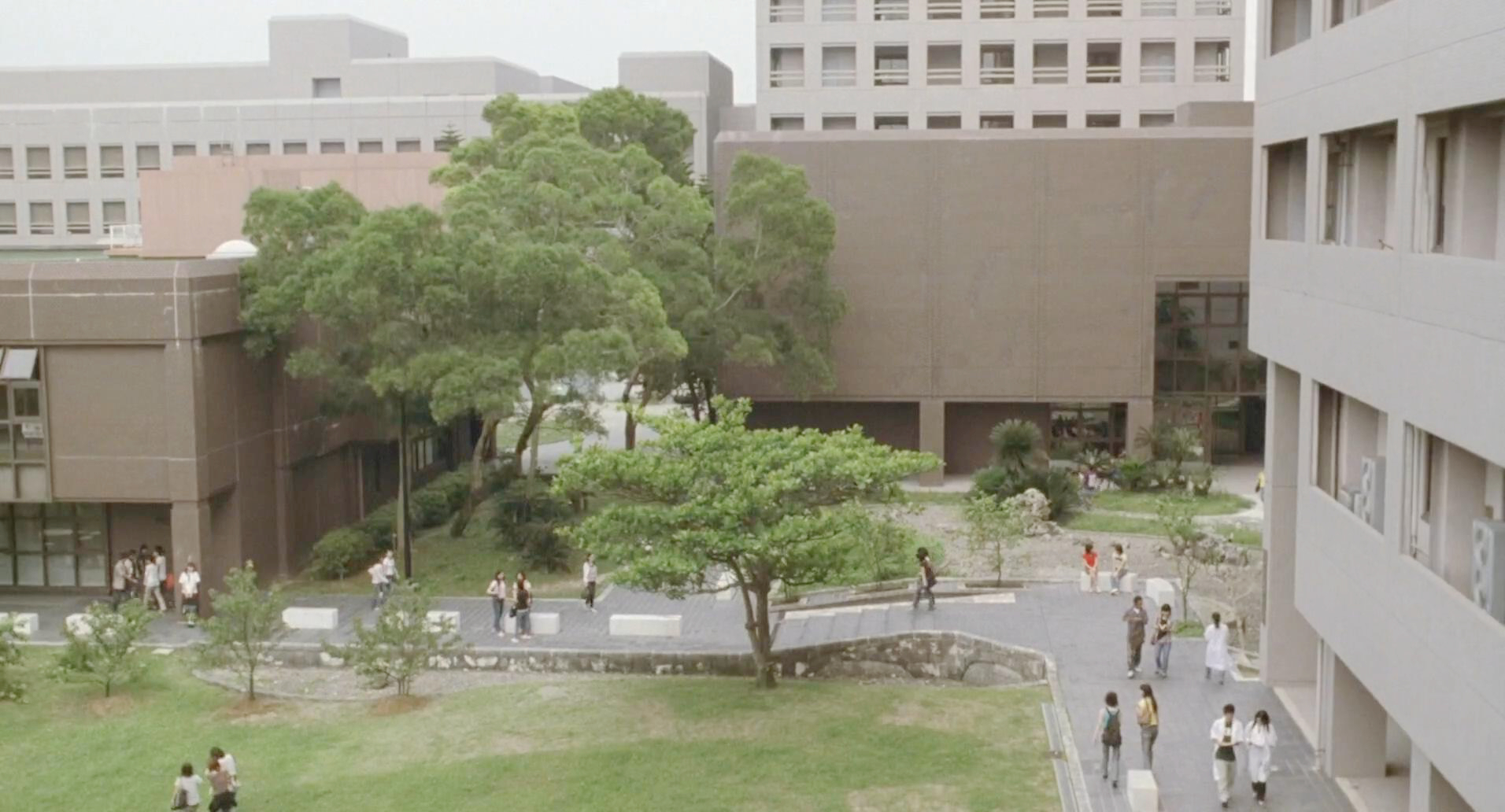 惠子的大学