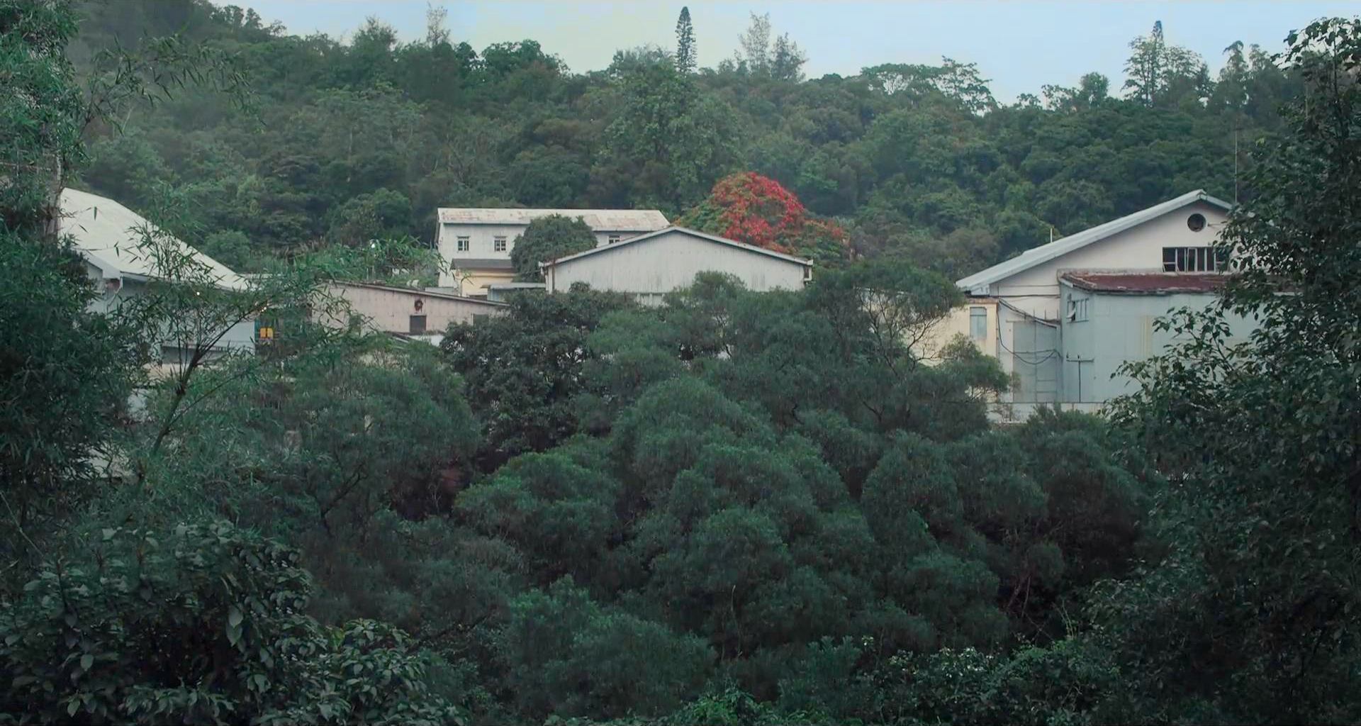 嘉禾片场外景