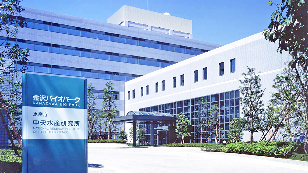 中央水产研究所横滨政府大楼