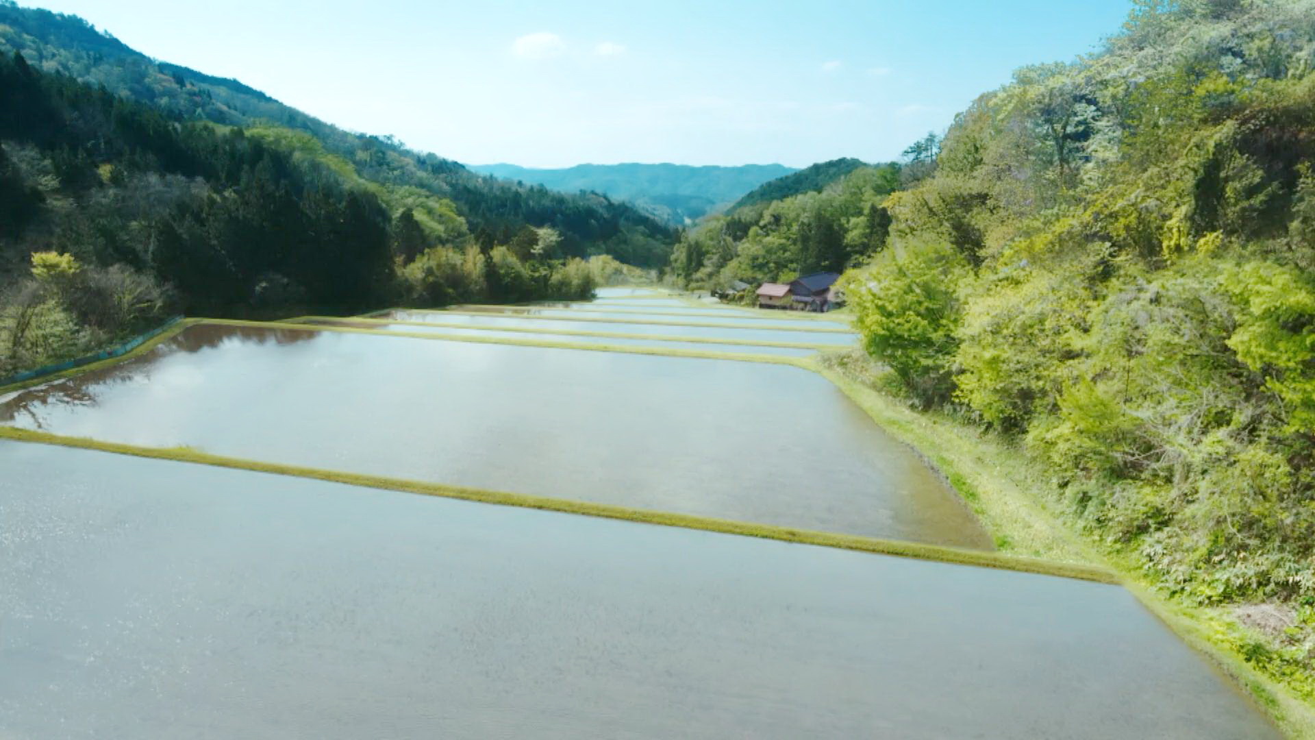 矿山变梯田