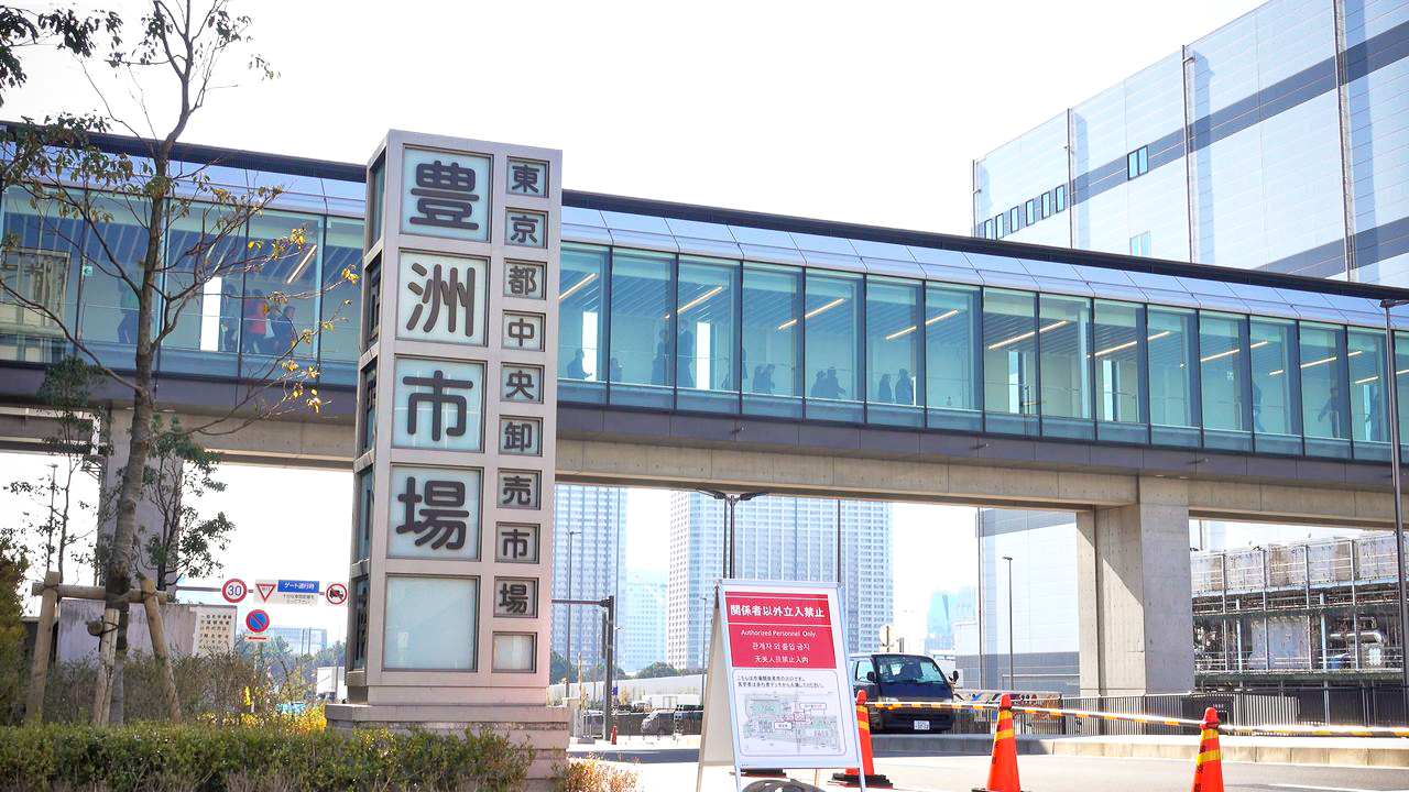 丰洲市场