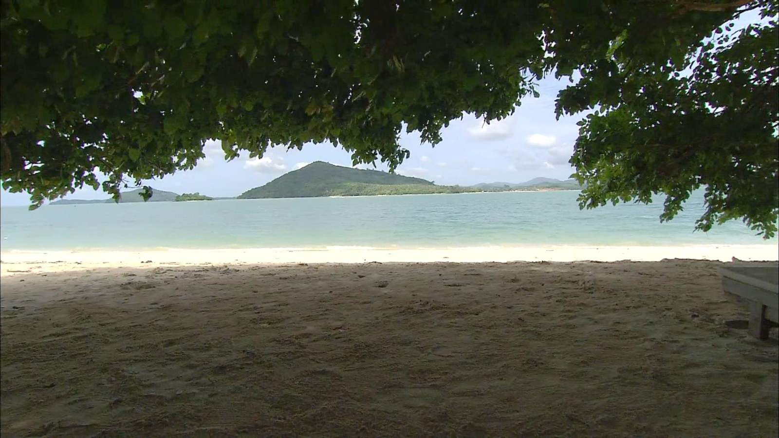 虞苇庭的小岛