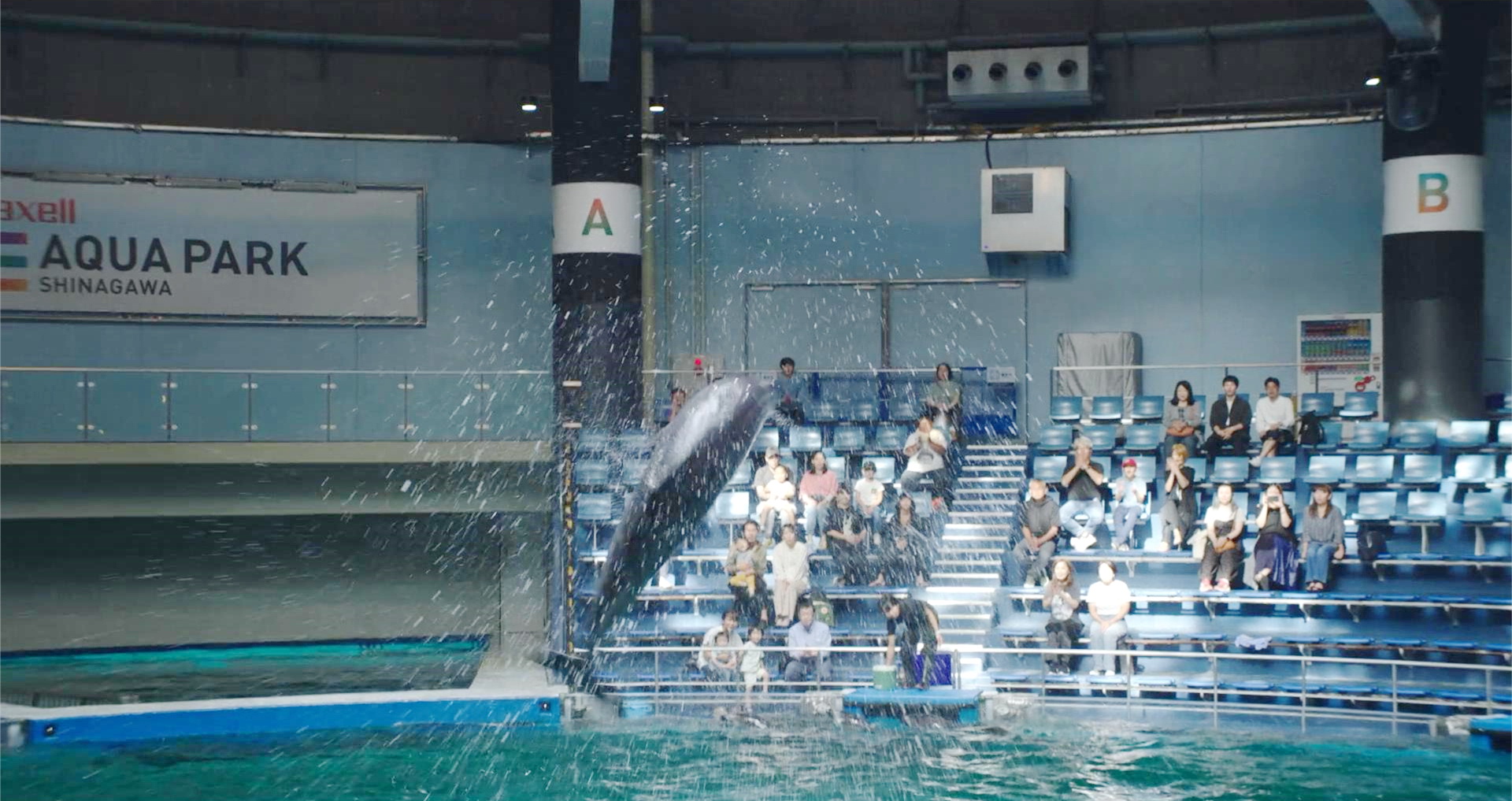 久田带女儿逛水族馆