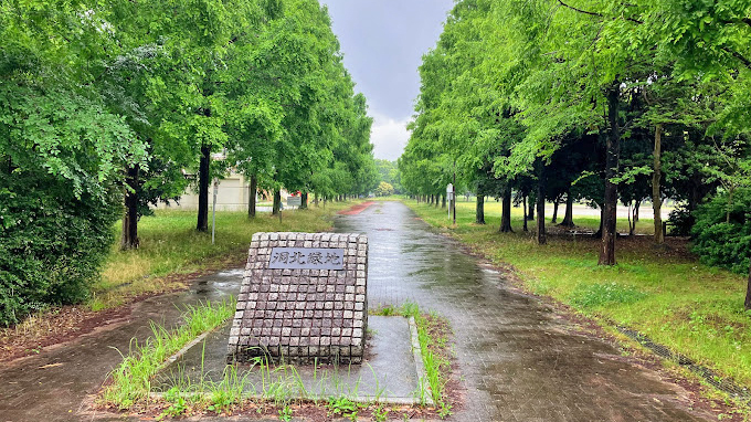 洞北绿地