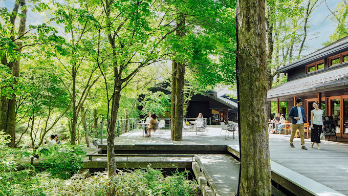 春榆阳台