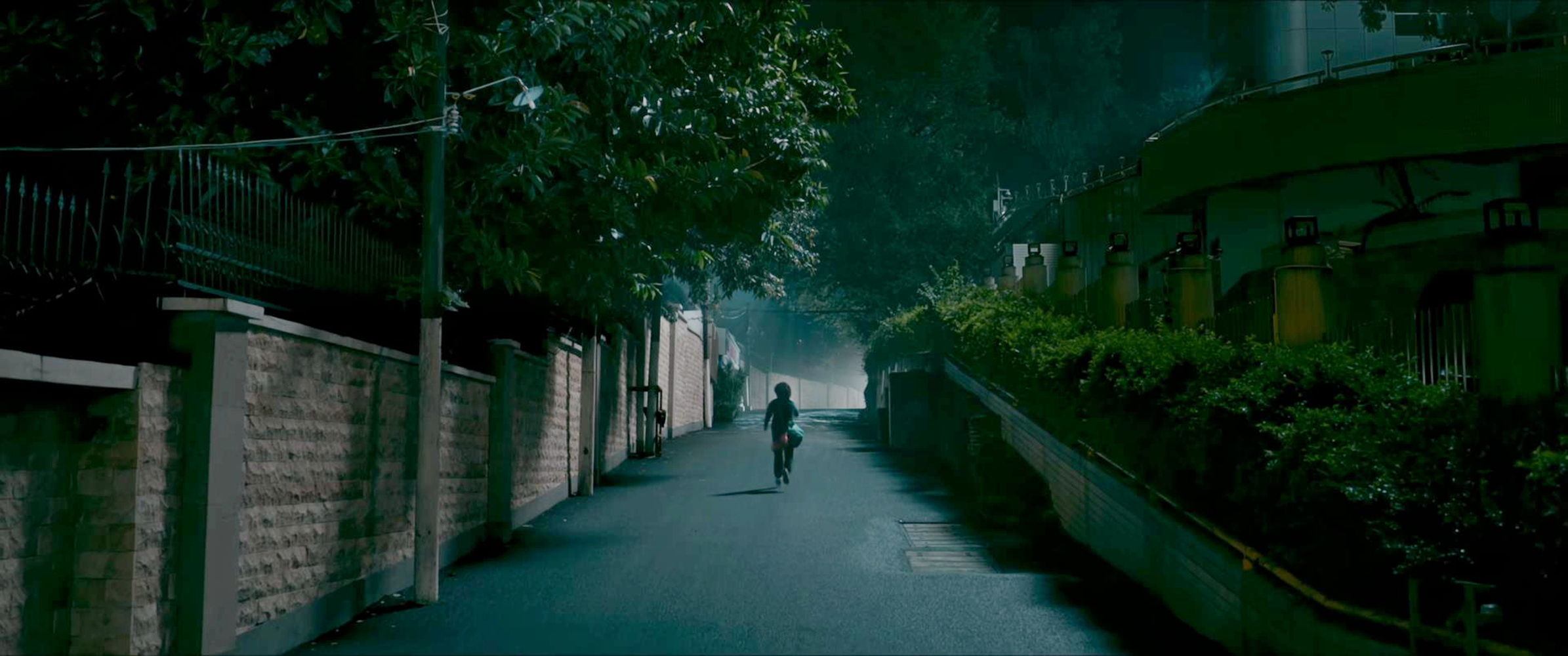 乐莹回家路上练拳