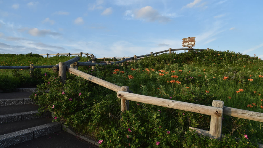 小清水原生花园
