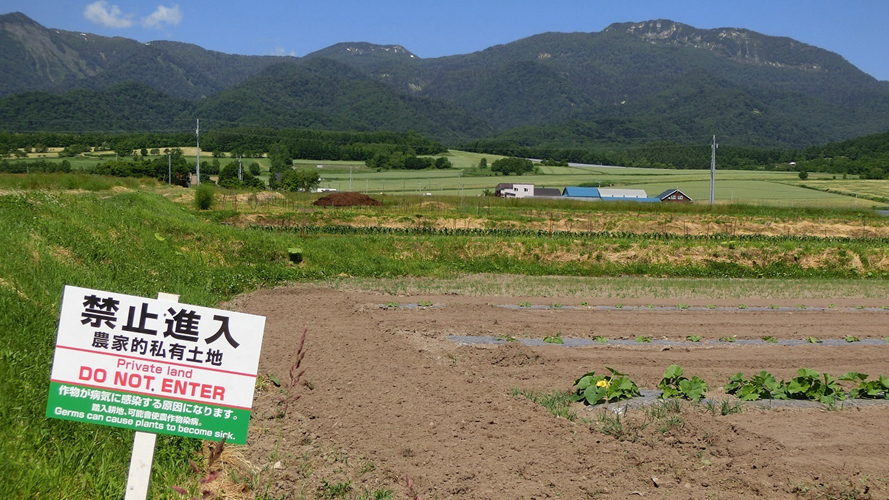 加纳农园