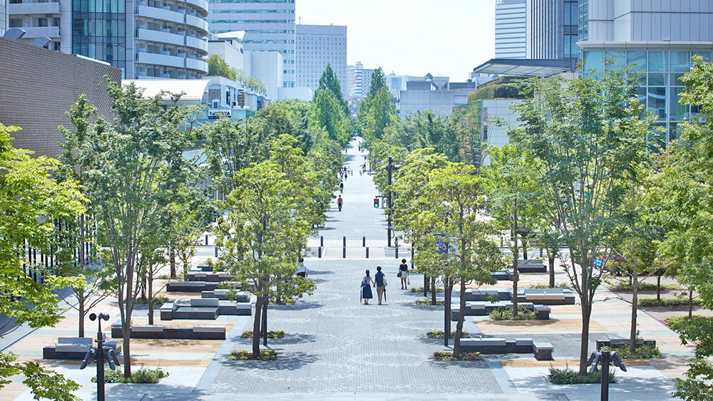 大商场公园