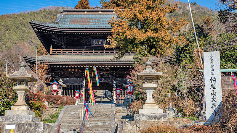 大善寺
