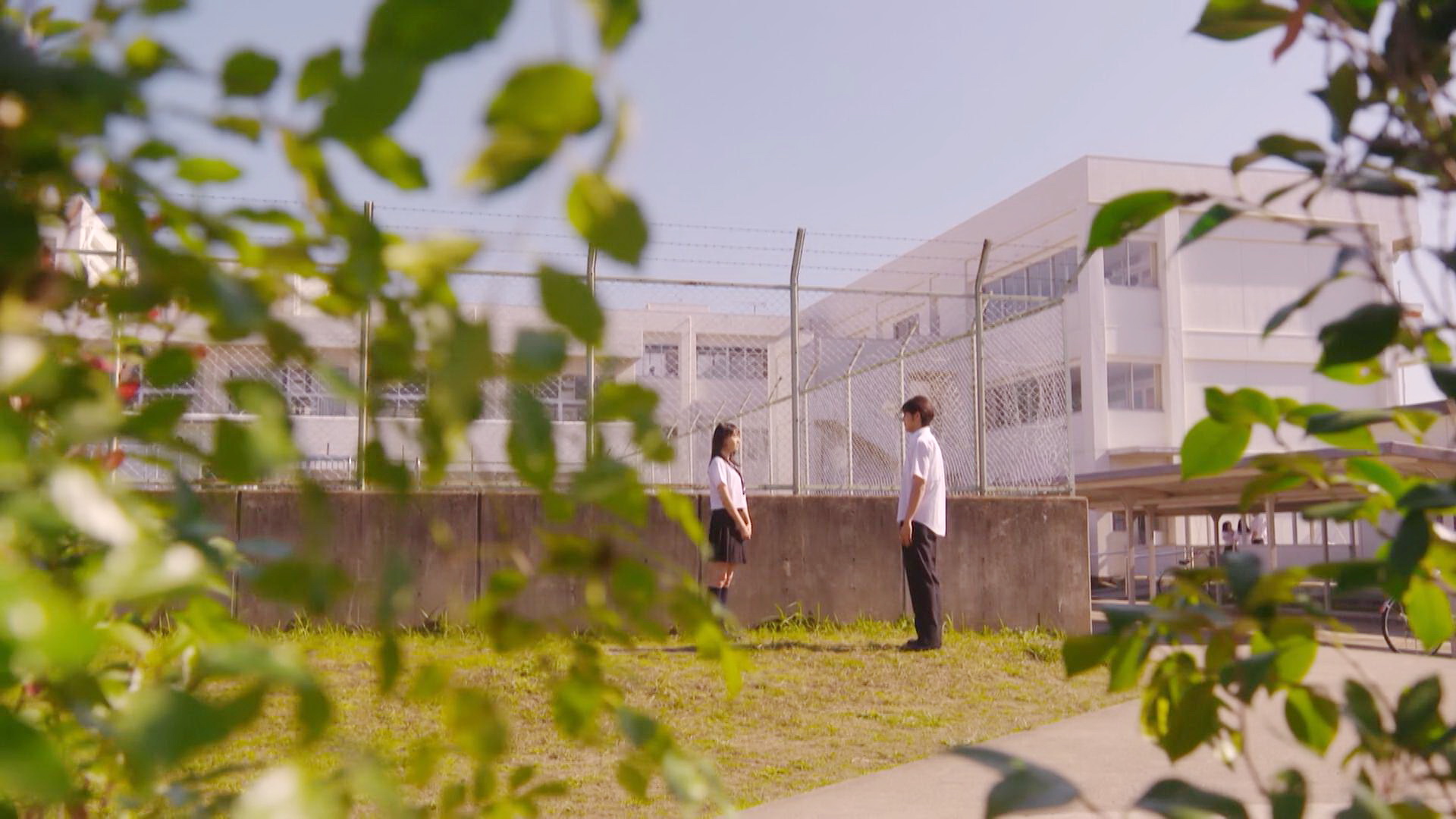 实栗的中学恋情