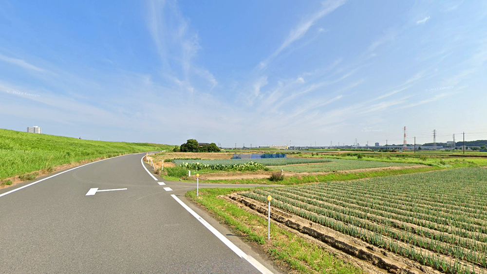 矢切之渡附近江户川沿岸道路