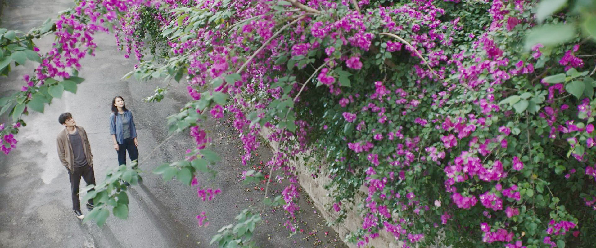 吴迪送别冯柳柳